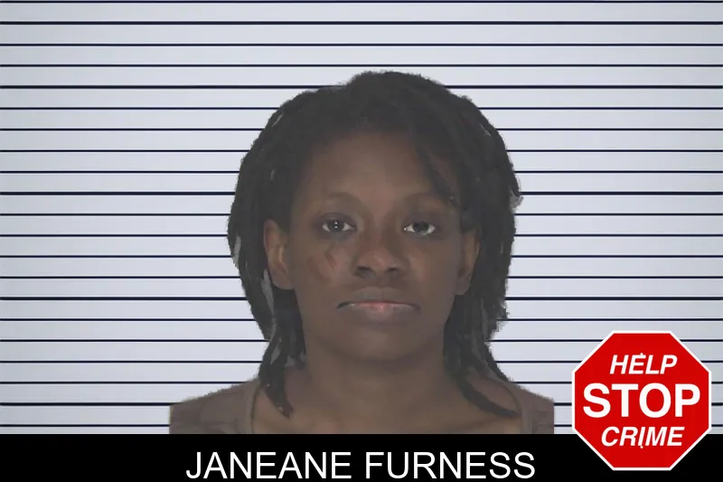Janeane Furness mugshot