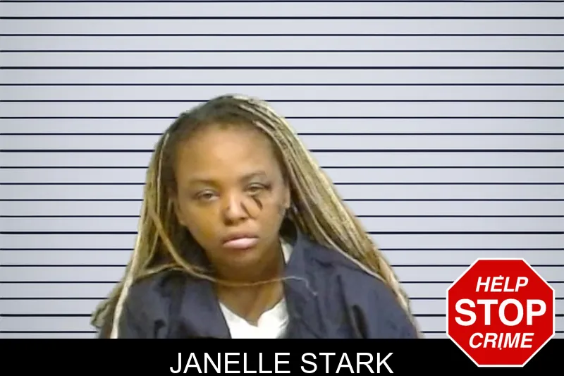 Janelle Stark mugshot – Fulton County , Georgia Janelle Stark mugshot