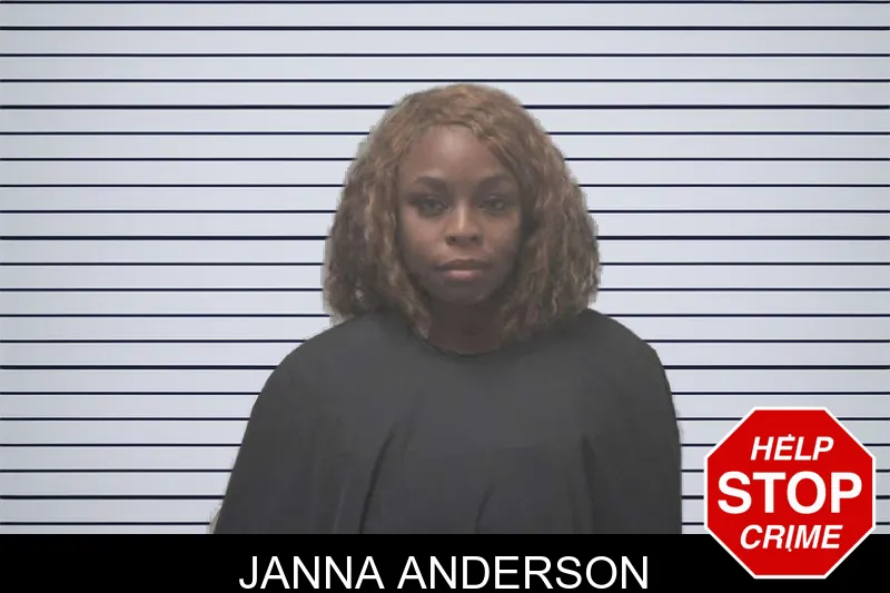 Janna Anderson mugshot