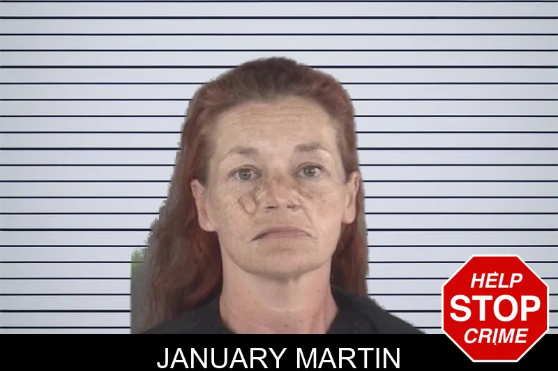 January Martin mugshot