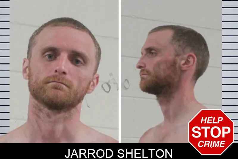 Jarrod Shelton mugshot