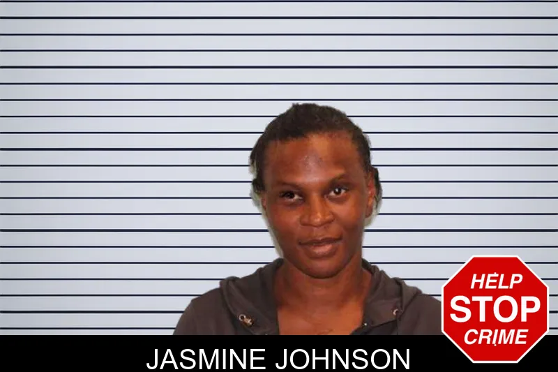 Jasmine Johnson mugshot – Grady County , Georgia Jasmine Johnson mugshot