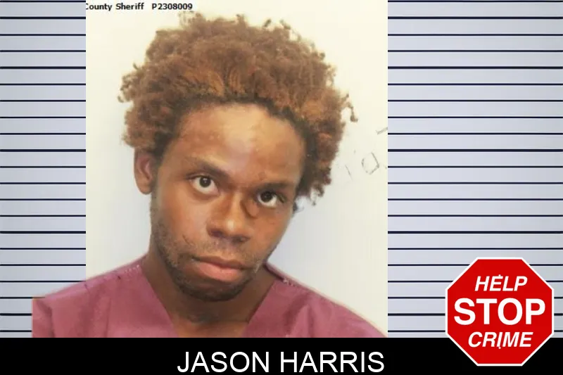 Jason Harris mugshot – Chatham County , Georgia Jason Harris mugshot