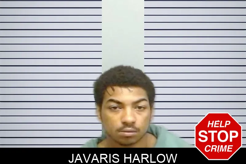 Javaris Harlow mugshot