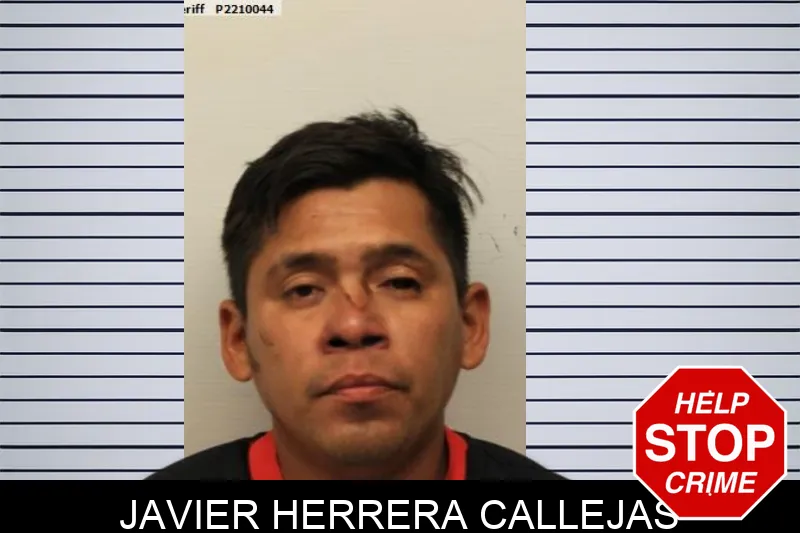 Javier Herrera Callejas mugshot