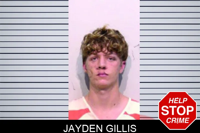 Jayden Gillis mugshot