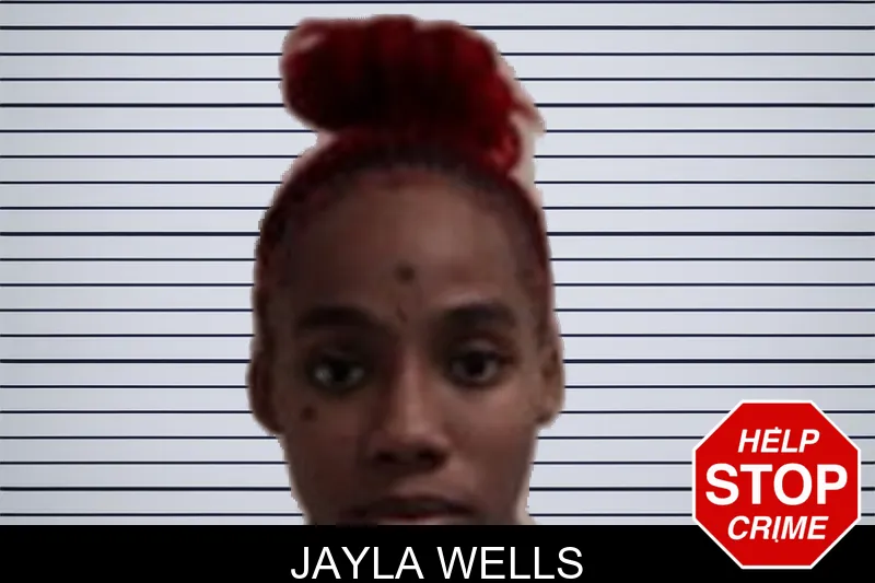 Jayla Wells mugshot