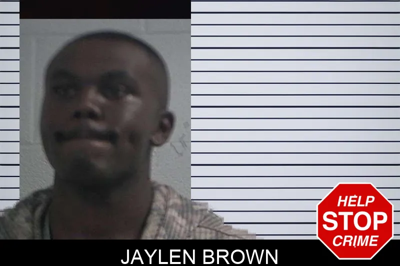 Jaylen Brown mugshot