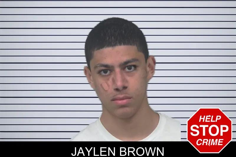 Jaylen Brown mugshot