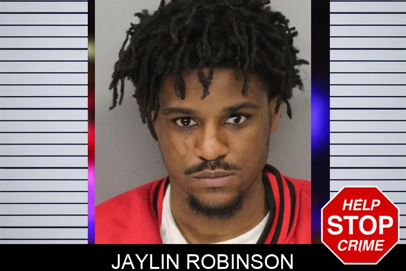 Jaylin Robinson mugshot