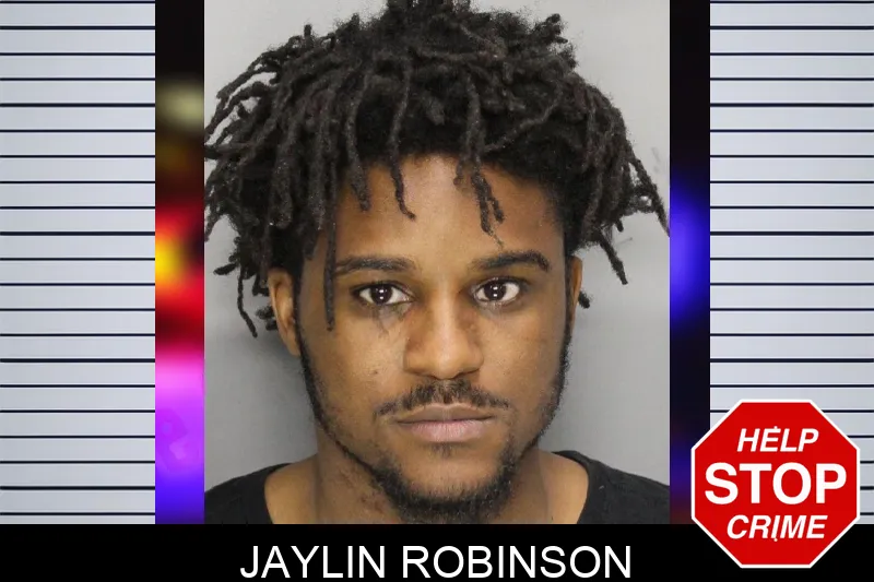Jaylin Robinson mugshot