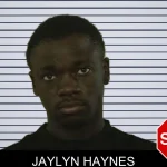 Jaylyn Haynes mugshot