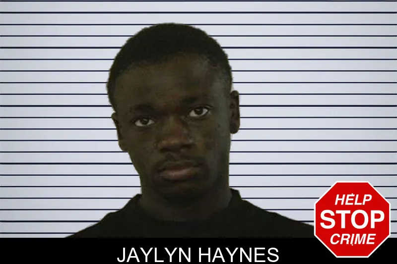 Jaylyn Haynes mugshot