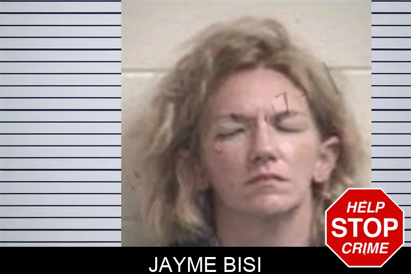 Jayme Bisi mugshot