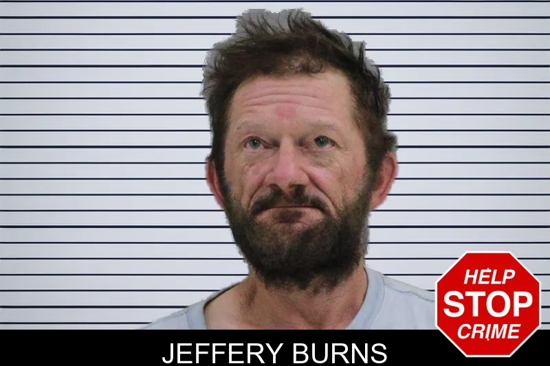 Jeffery Burns mugshot