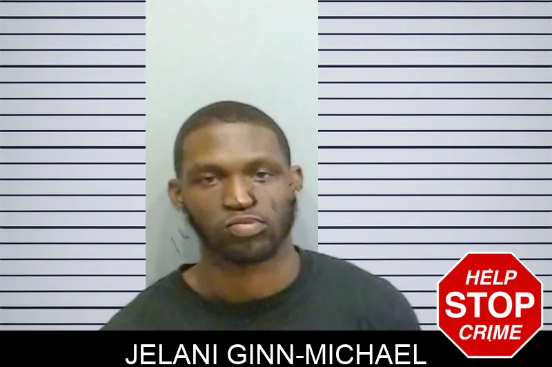 Jelani Ginn-Michael mugshot
