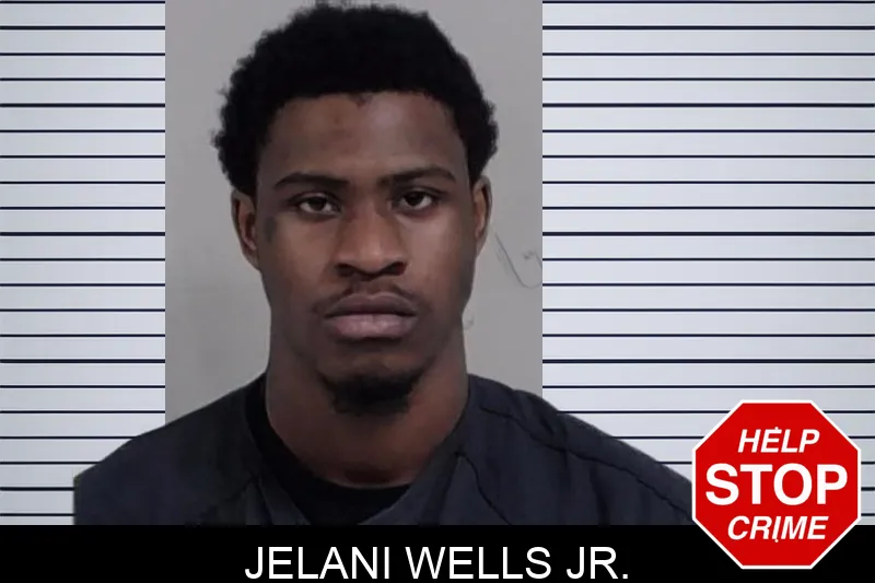 Jelani Wells Jr. mugshot