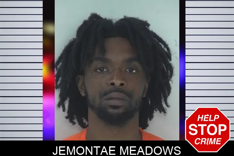Jemontae Meadows mugshot