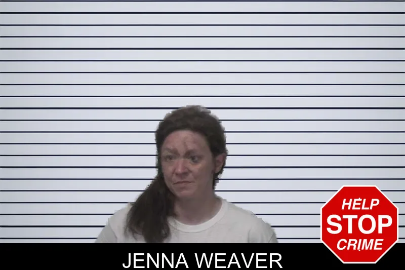 Jenna Weaver mugshot – Sumter County , Georgia Jenna Weaver mugshot