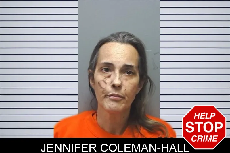 Jennifer Coleman-Hall mugshot – Cherokee County , Georgia Jennifer Coleman-Hall mugshot