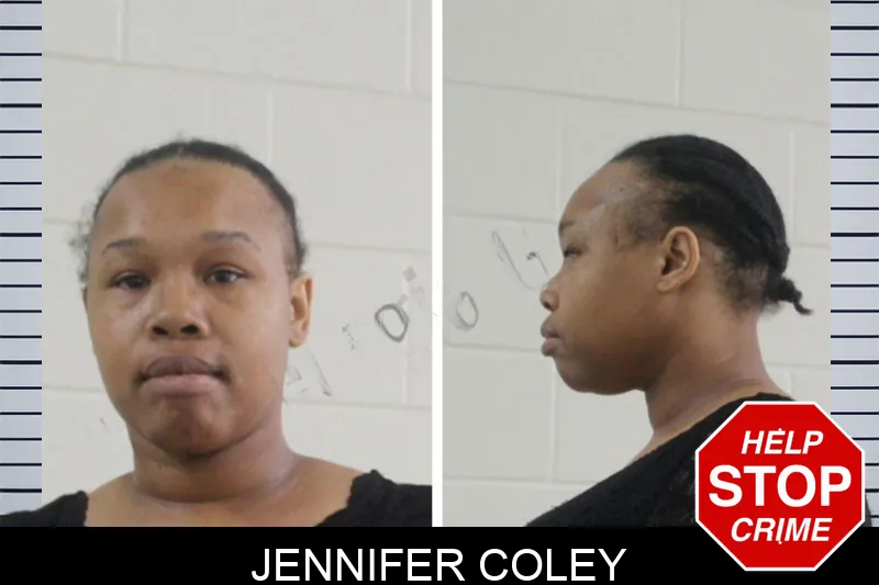 Jennifer Coley mugshot – Houston County , Georgia Jennifer Coley mugshot