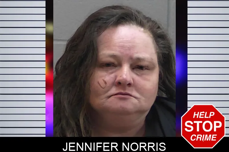 Jennifer Norris mugshot
