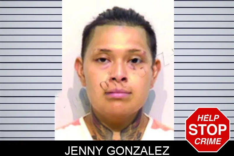 Jenny Gonzalez mugshot