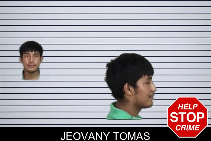 Jeovany Tomas mugshot – Camden County , Georgia Jeovany Tomas mugshot