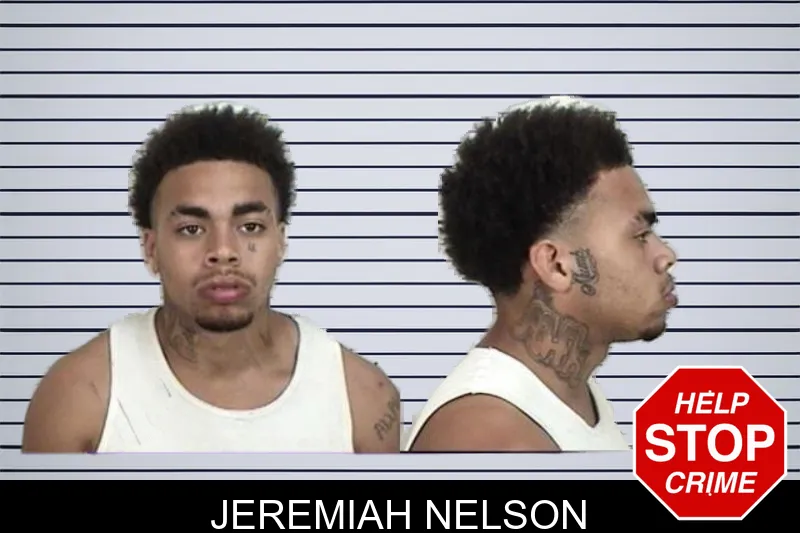 Jeremiah Nelson mugshot – Camden County , Georgia Jeremiah Nelson mugshot