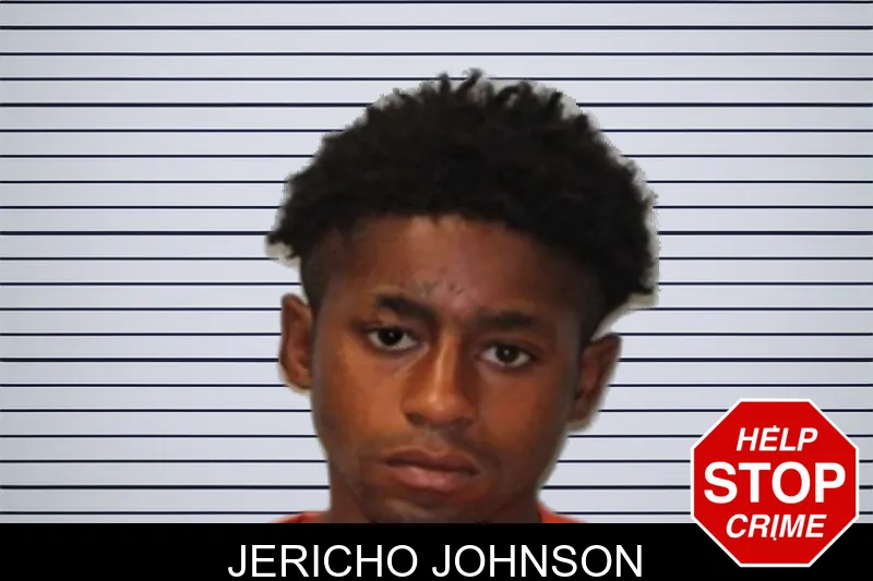 Jericho Johnson mugshot – Seminole County , Georgia Jericho Johnson mugshot