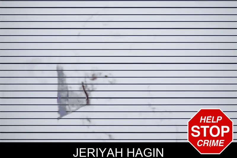 Jeriyah Hagin mugshot