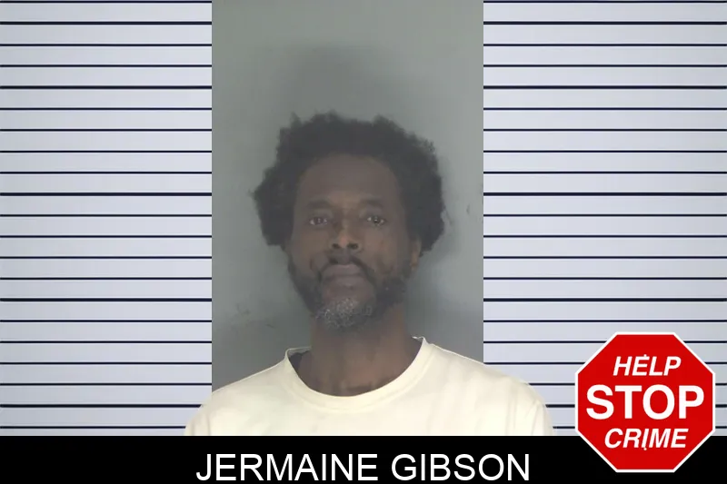 Jermaine Gibson mugshot