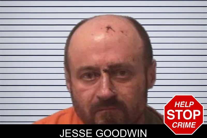 Jesse Goodwin mugshot