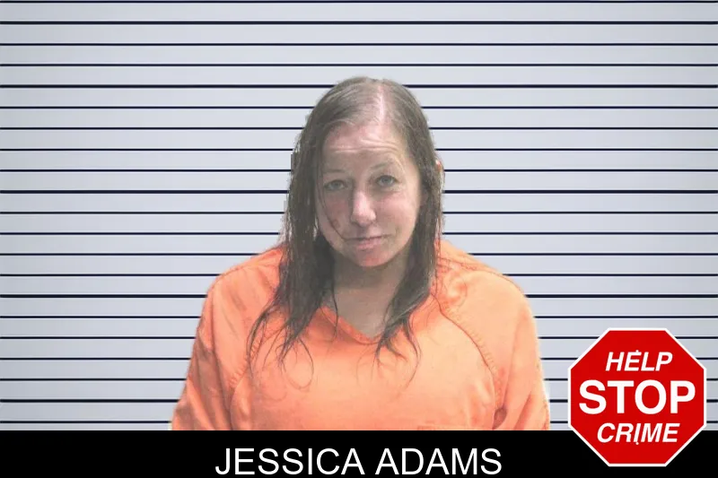 Jessica Adams mugshot