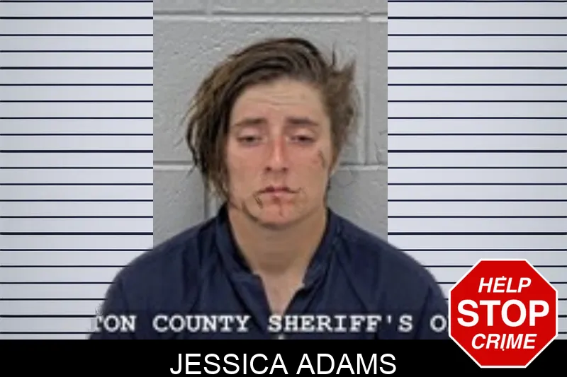 Jessica Adams mugshot