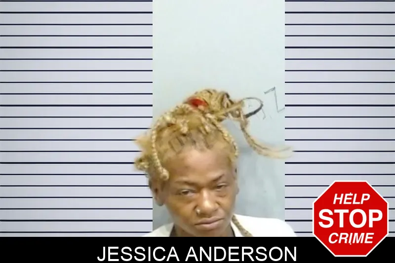 Jessica Anderson mugshot