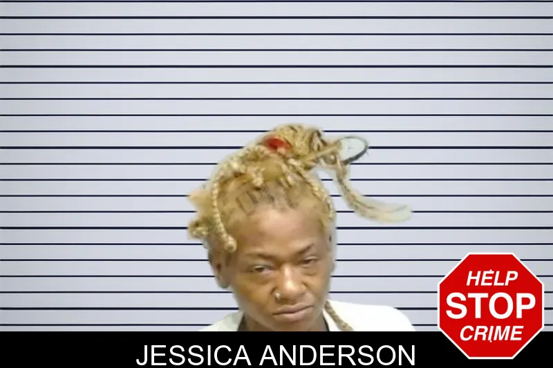 Jessica Anderson mugshot
