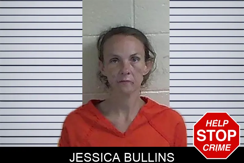 Jessica Bullins mugshot