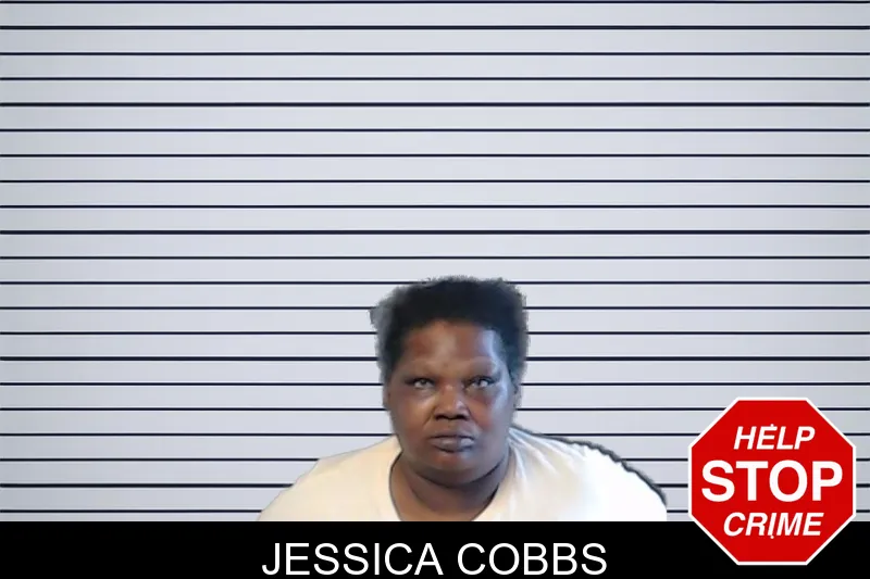 Jessica Cobbs mugshot – DeKalb County , Georgia Jessica Cobbs mugshot