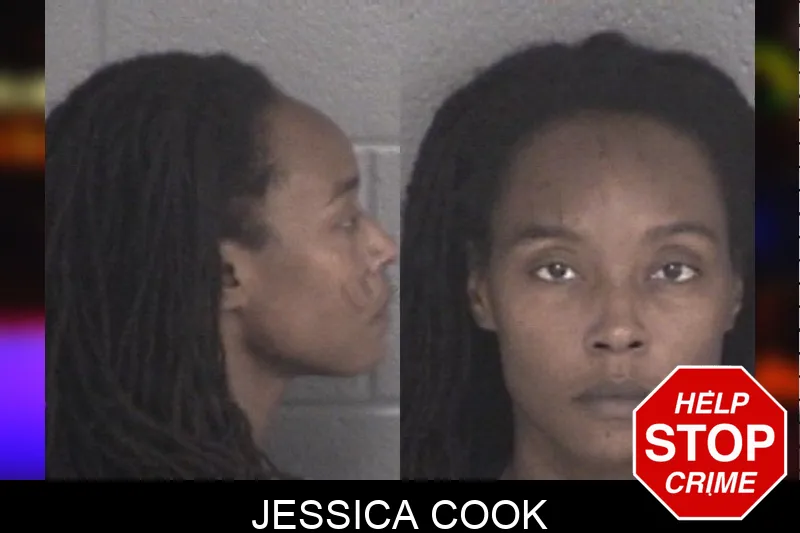 Jessica Cook mugshot