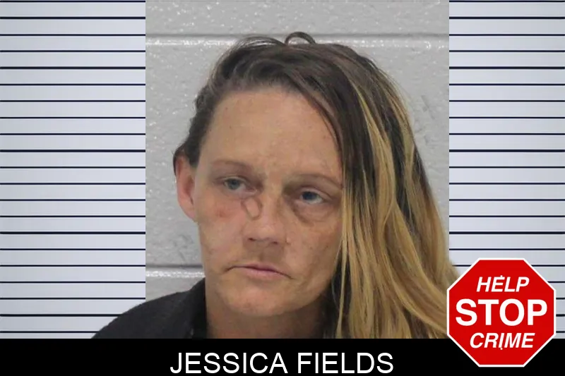 Jessica Fields mugshot