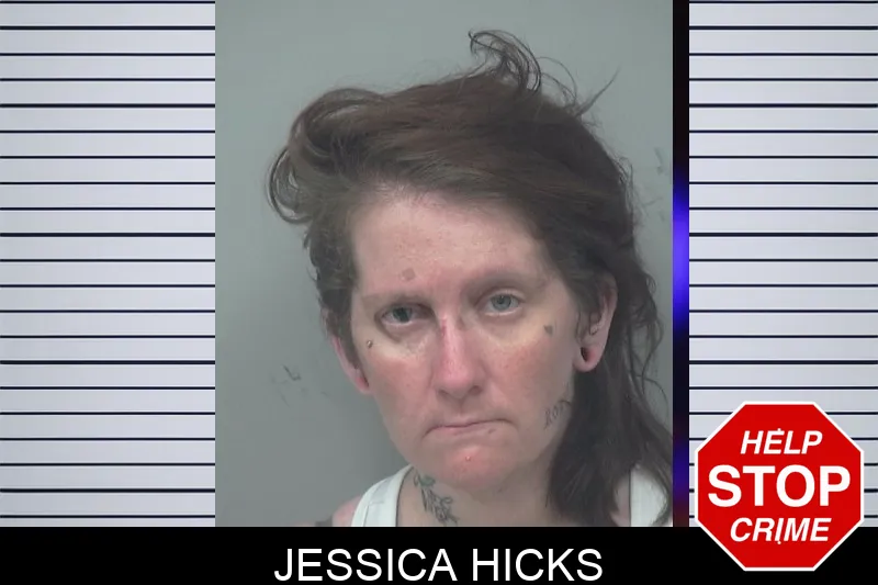 Jessica Hicks mugshot