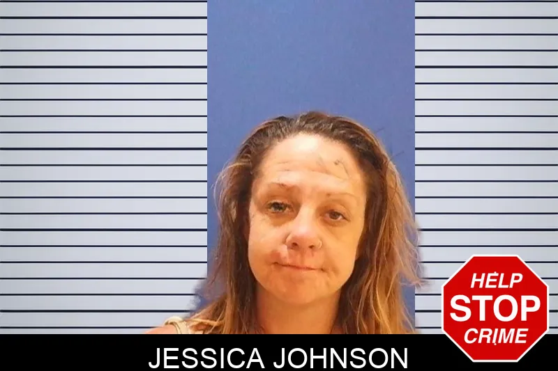 Jessica Johnson mugshot