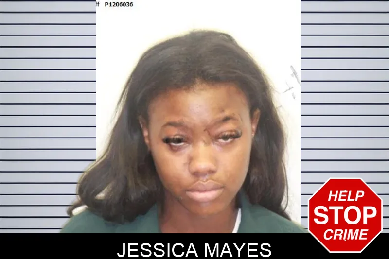 Jessica Mayes mugshot – Chatham County , Georgia Jessica Mayes mugshot