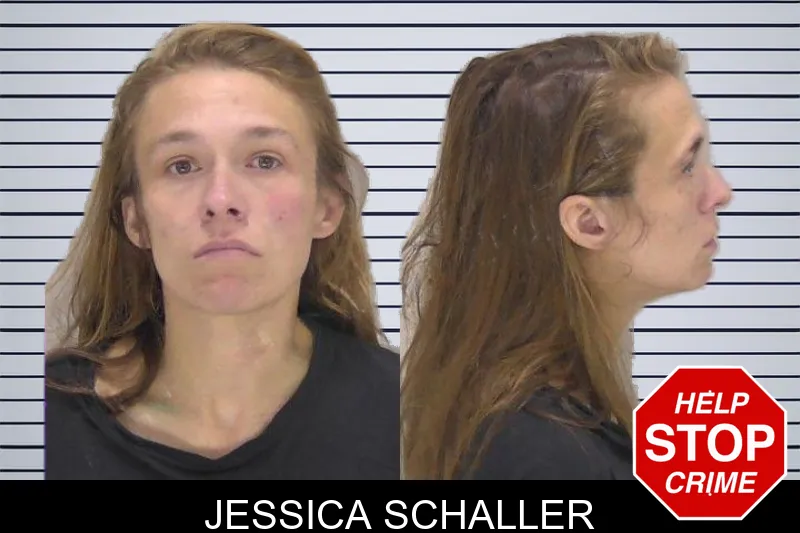 Jessica Schaller mugshot