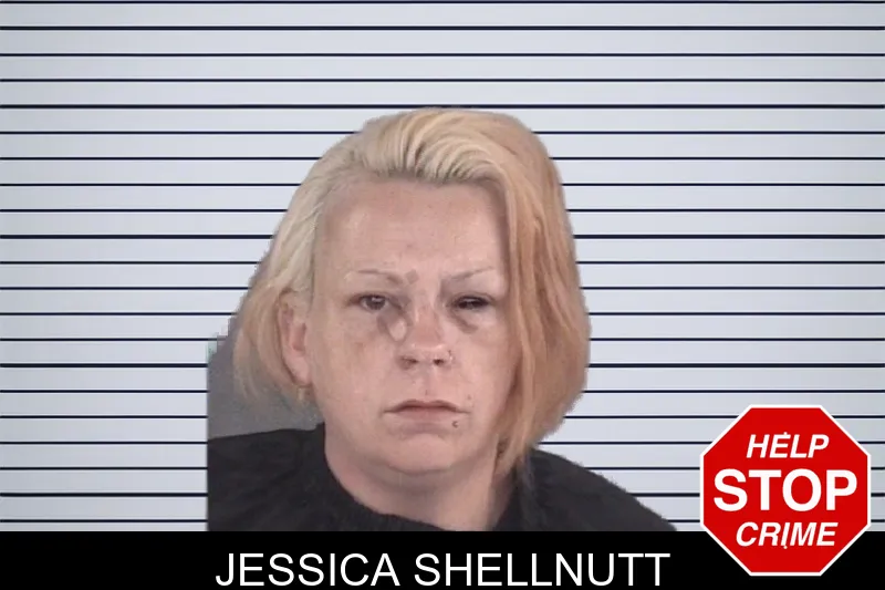 Jessica Shellnutt mugshot