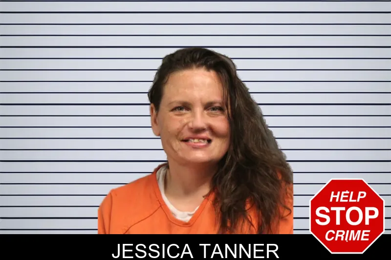 Jessica Tanner mugshot – Lumpkin County , Georgia Jessica Tanner mugshot