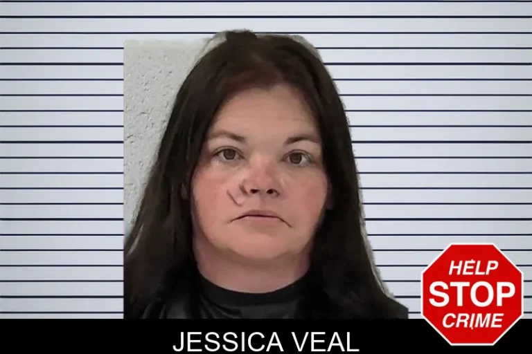Jessica Veal mugshot – Elbert County , Georgia Jessica Veal