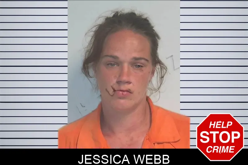 Jessica Webb mugshot
