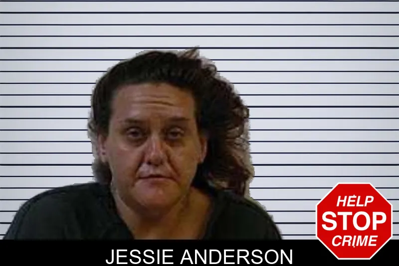 Jessie Anderson mugshot